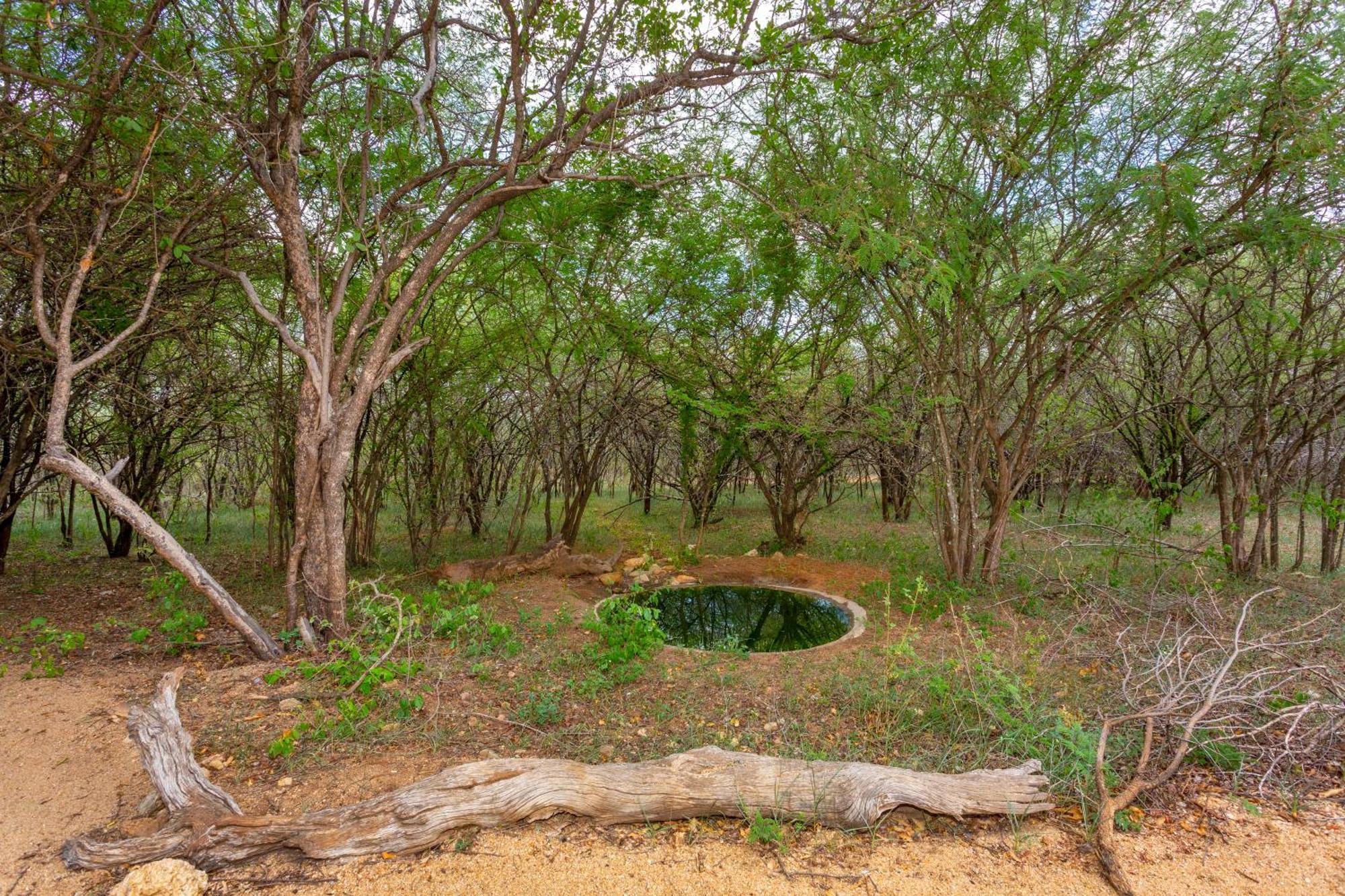 The Bush House Villa Hoedspruit Bagian luar foto