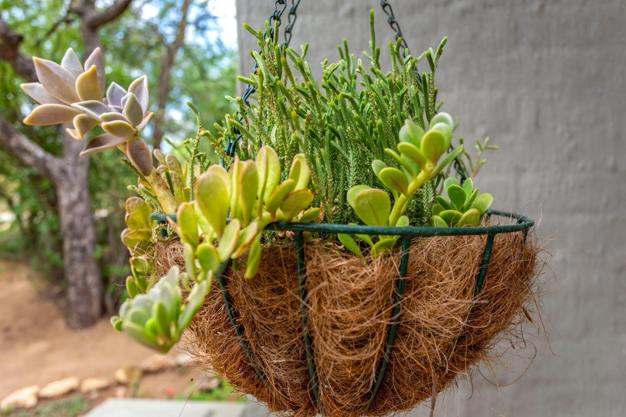 The Bush House Villa Hoedspruit Bagian luar foto